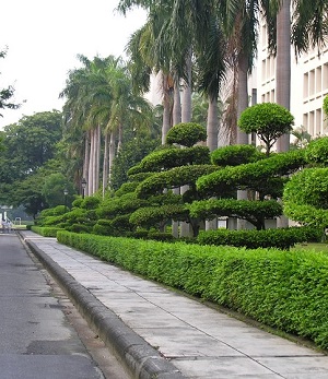 College of Continuing and Extension Education
